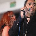 Live Wedding and Party Band